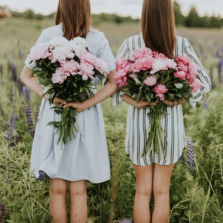 Image Slider